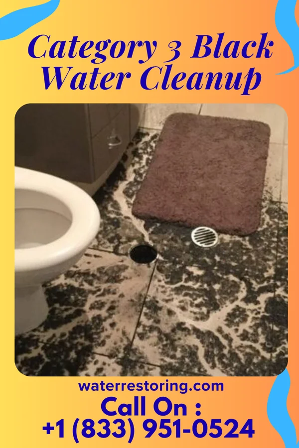 Category 3 Black Water Cleanup in Doe Valley, KY
