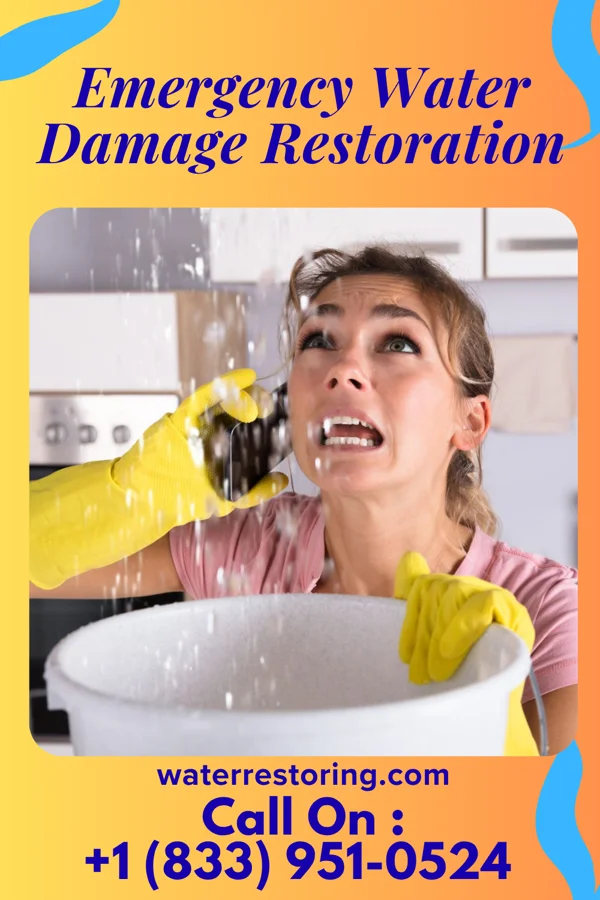 Emergency Water Damage Restoration in Doe Valley, KY