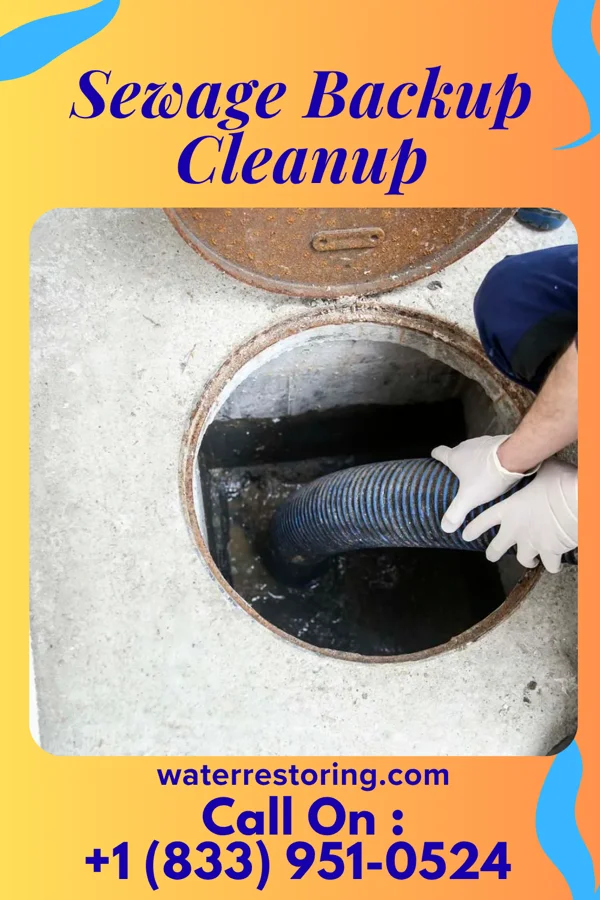 Sewage Backup Cleanup in Doe Valley, KY