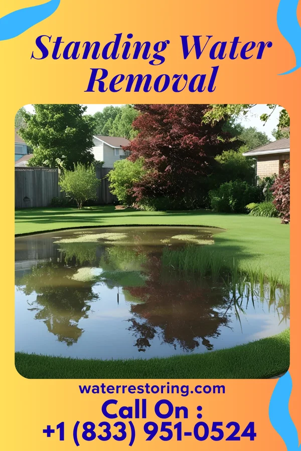 Standing Water Removal in Doe Valley, KY